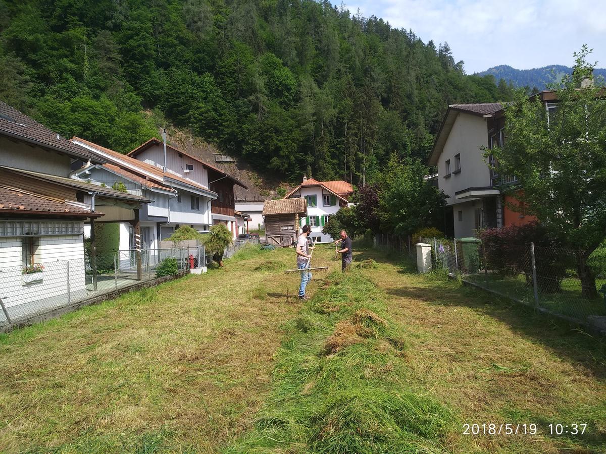 Jungfrau Family Holiday Home Matten bei Interlaken 外观 照片